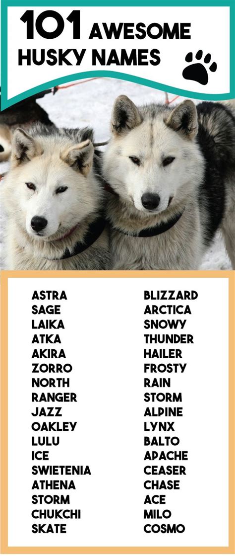 cute names for husky